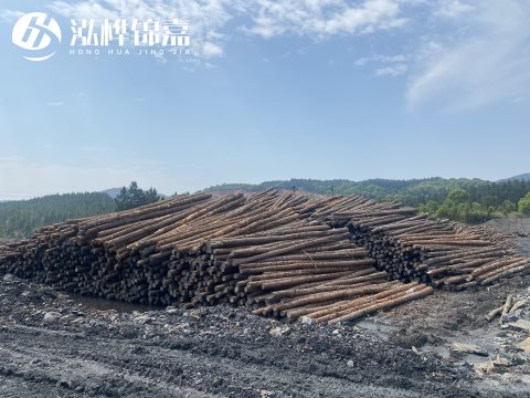 河道打樁為什么選擇松木樁來(lái)處理軟地基？-松木樁施工使用范圍