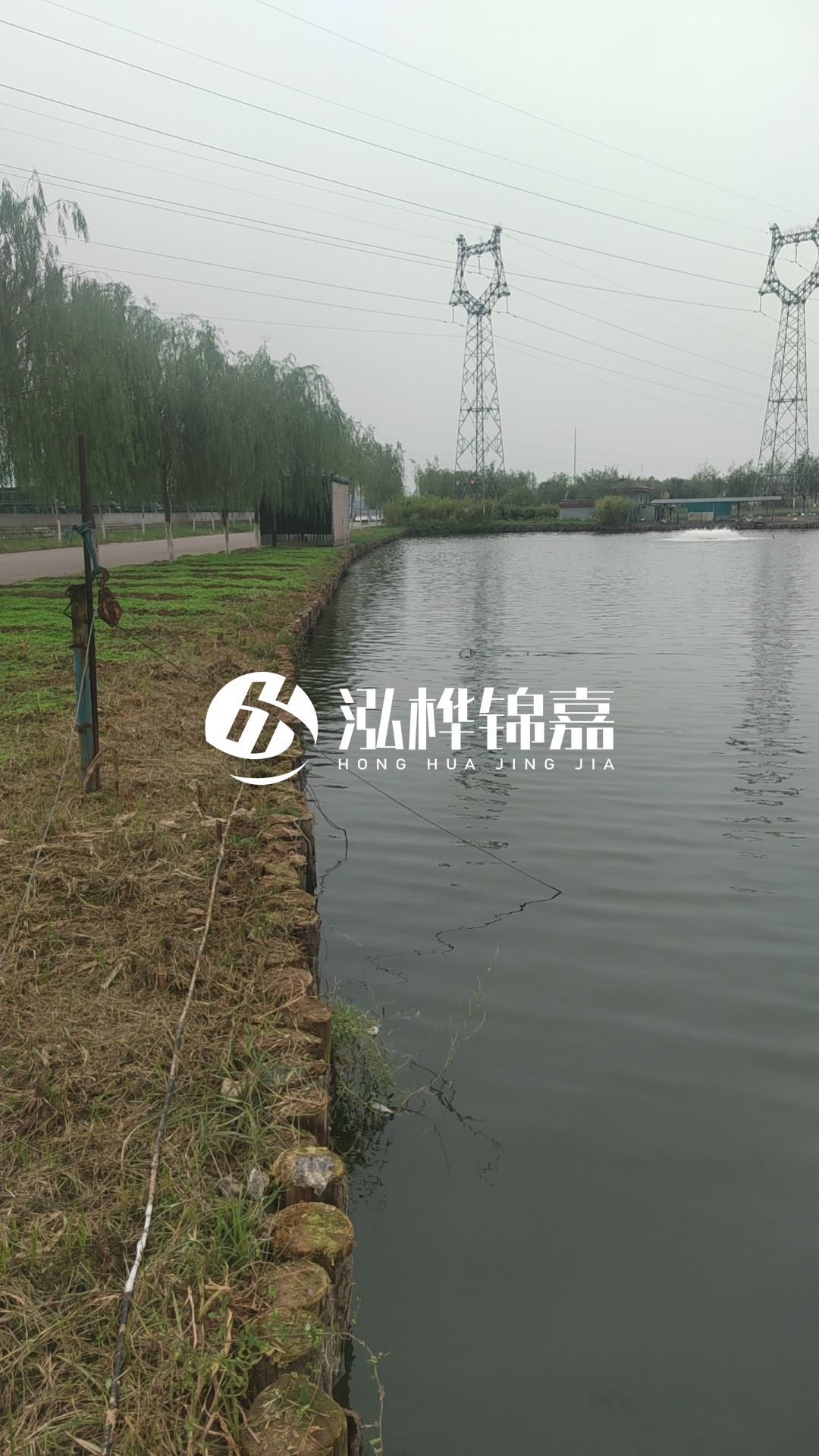 臺州挖機打木樁專(zhuān)業(yè)施工-松木樁打樁木的密度對打樁效果有影響嗎？