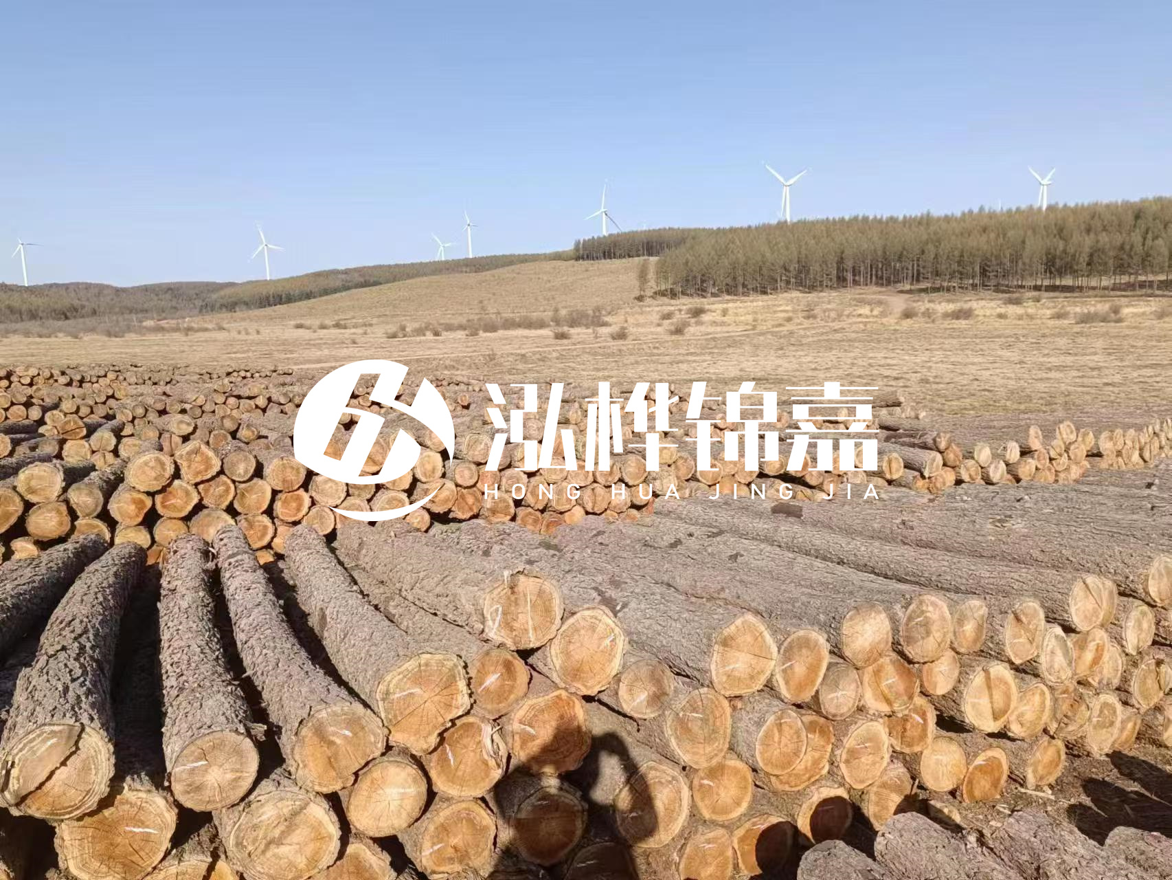 咸寧松木樁源頭廠(chǎng)家-哪里能買(mǎi)到質(zhì)量好的松木樁打樁木？
