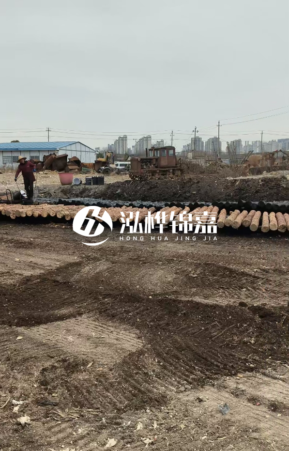 安徽打樁木材哪里買(mǎi)最好-5米直徑12杉木樁送到安徽多少錢(qián)？