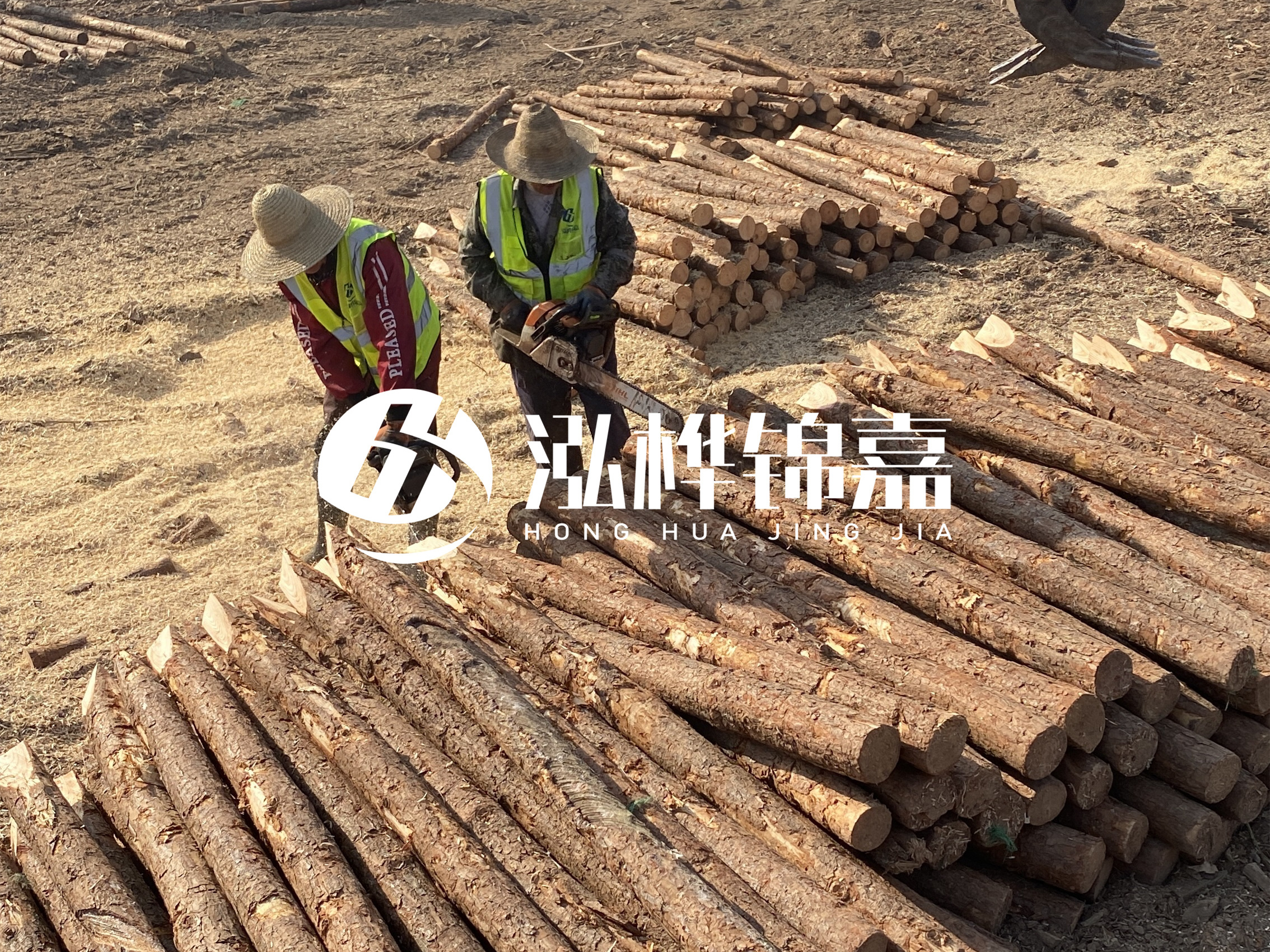 河北打樁木廠(chǎng)家主要生產(chǎn)哪些材質(zhì)的打樁木？產(chǎn)品有哪些規格？