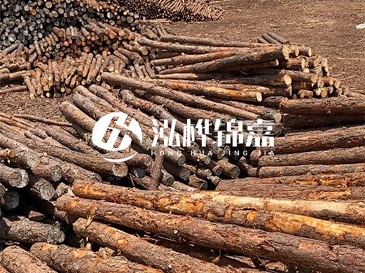 浙江打樁木源頭廠(chǎng)家泓樺錦嘉-松木廠(chǎng)家批發(fā)電話(huà)地址？