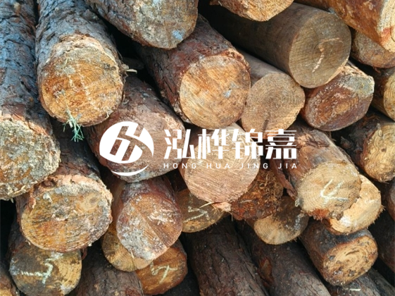 廣東松木樁源頭廠(chǎng)家地址在哪里-泓樺錦嘉屬于什么檔次？