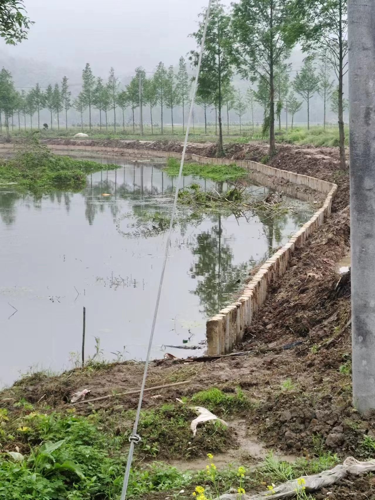 水泥仿木樁施工隊泓樺錦嘉 - 仿木樁施工多少錢(qián)一米？