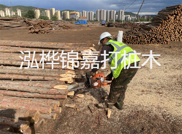 工地上打樁的目的是什么，地基打木樁用什么木材